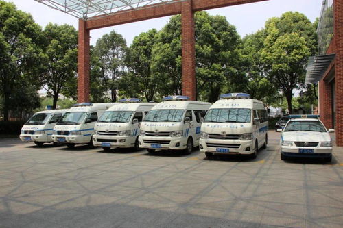 守護生命通道 浦東新區區域救治服務體系全面升級