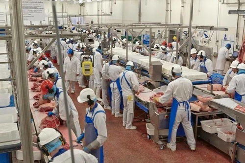 英國食品廠再現疫情，科學防護下肉類仍可安全食用